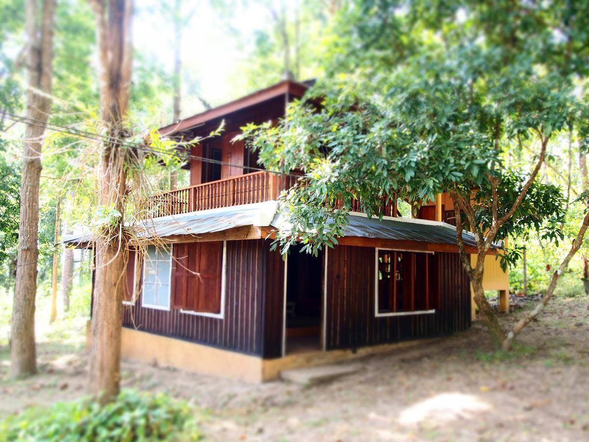 Golden Teak Homestay Mae Rim Exteriér fotografie