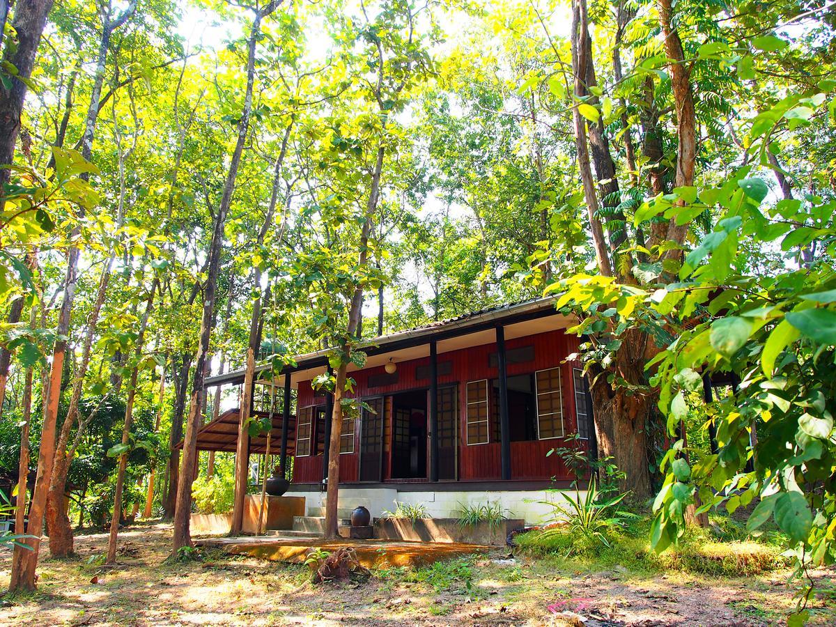 Golden Teak Homestay Mae Rim Exteriér fotografie