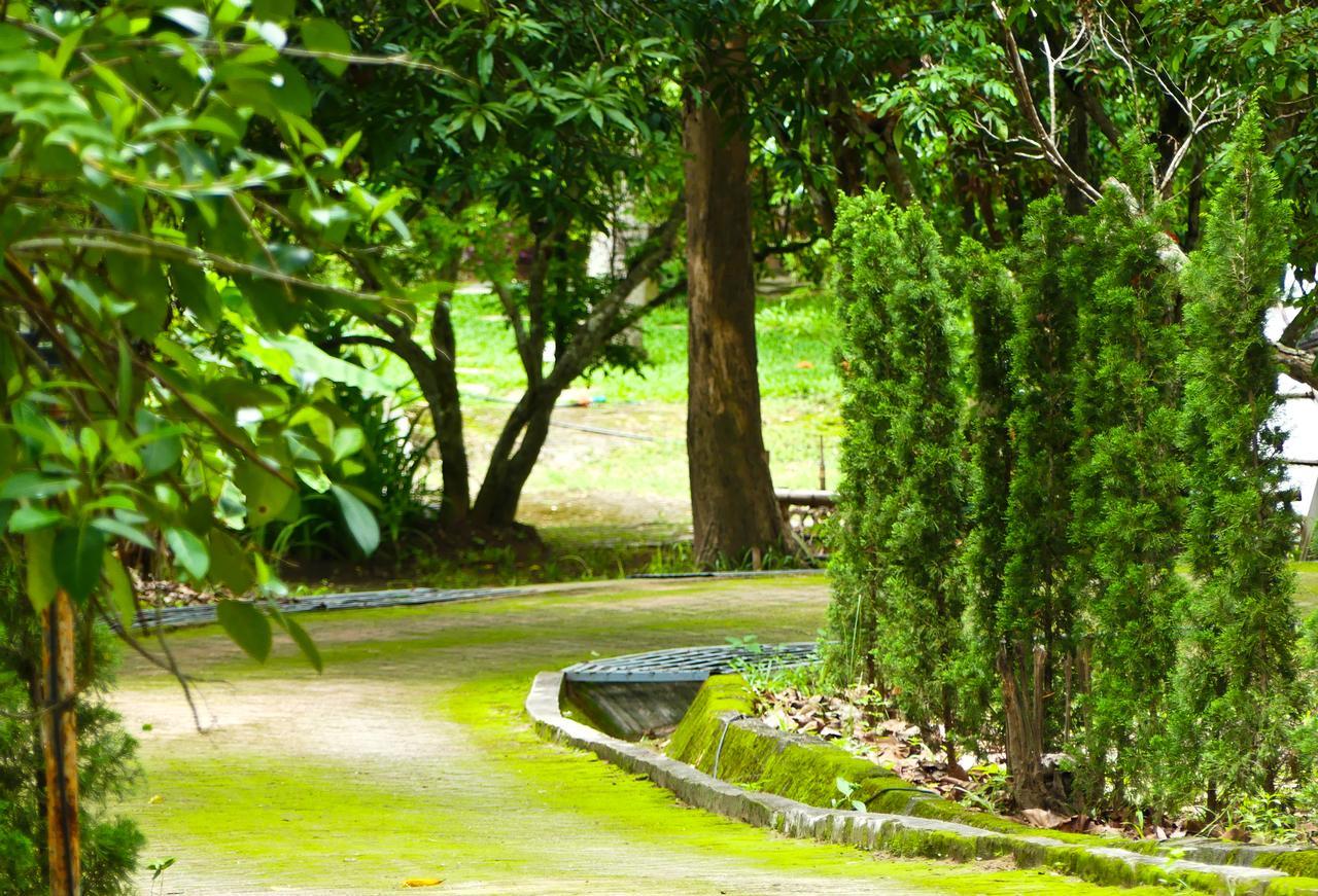 Golden Teak Homestay Mae Rim Exteriér fotografie